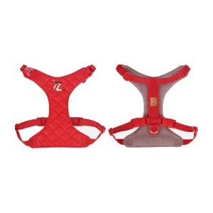 Truelove Kit harnais et laisse — rouge